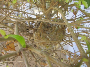 Img_0518 Img_0518