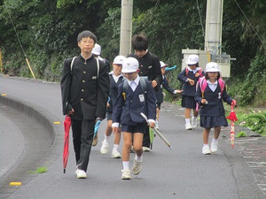 Img_1795 Img_1795
