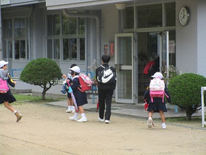 Img_1803 Img_1803