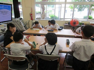Img_3554 Img_3554