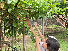 Img_2305_2