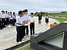 Image_33 Image_33