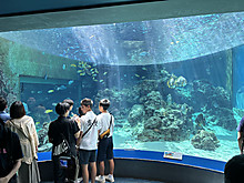Image_35 Image_35