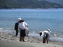 Img_7627