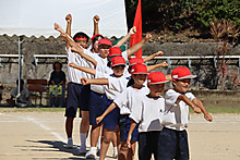 Img_7921 Img_7921