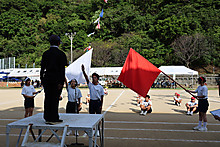 Img_1567 Img_1567