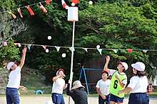 Img_1891 Img_1891
